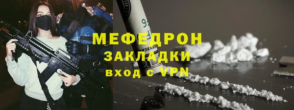 индика Белокуриха
