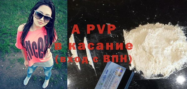 индика Белокуриха