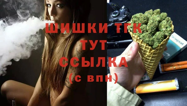 СК Богородицк