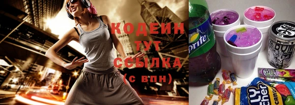 индика Белокуриха