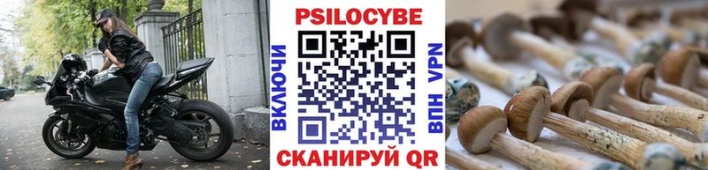 Галлюциногенные грибы GOLDEN TEACHER  Нерчинск 