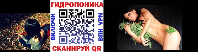 Канабис семена  omg   Нерчинск  хочу  